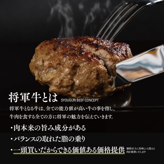 ＜数量限定＞  将軍牛ハンバーグ お試し 750g (150g x 5パック) 送料無料 / 星乃ぶどう購入者様限定