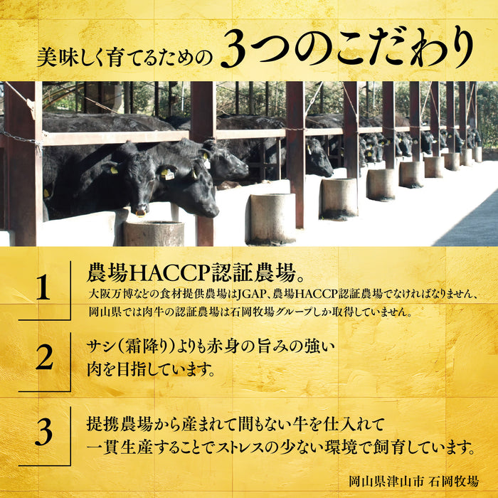 ＜数量限定＞  将軍牛ハンバーグ お試し 750g (150g x 5パック) 送料無料 / 星乃ぶどう購入者様限定